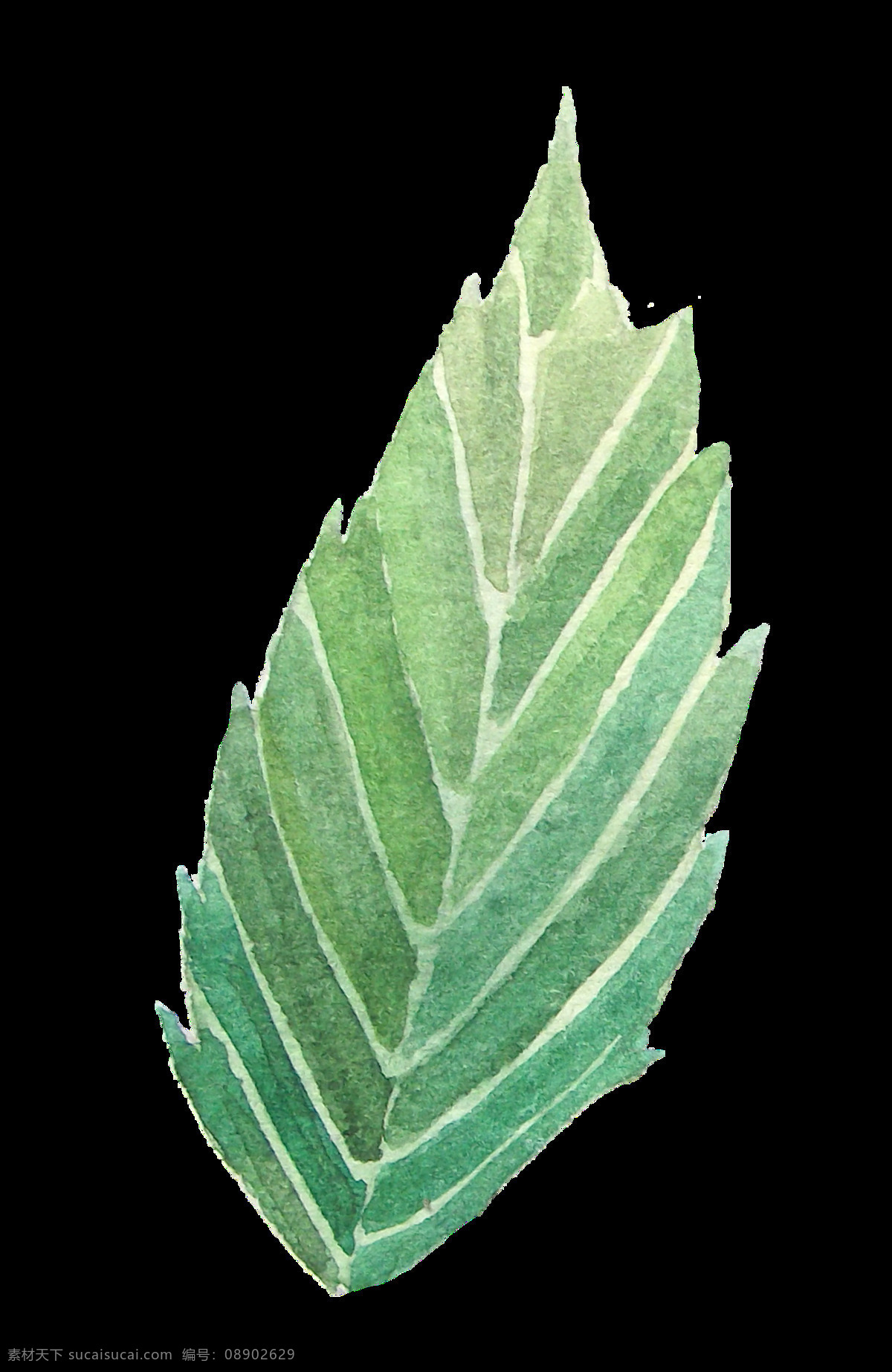 刺 树叶 卡通 透明 叶子 绿色 透明素材 免扣素材 装饰图案