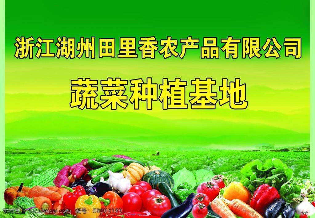 蔬菜 种植 基地 绿色背景 农产品广告 山峦 蔬菜种植基地 田里香 各种蔬菜水果 矢量 风景 生活 旅游餐饮