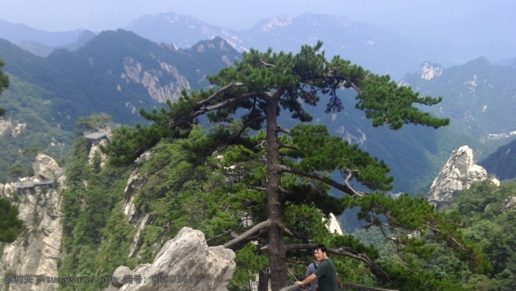 尧山迎客松 尧山 迎客松 苍翠 松树 群山 风景 山 旅游摄影 国内旅游