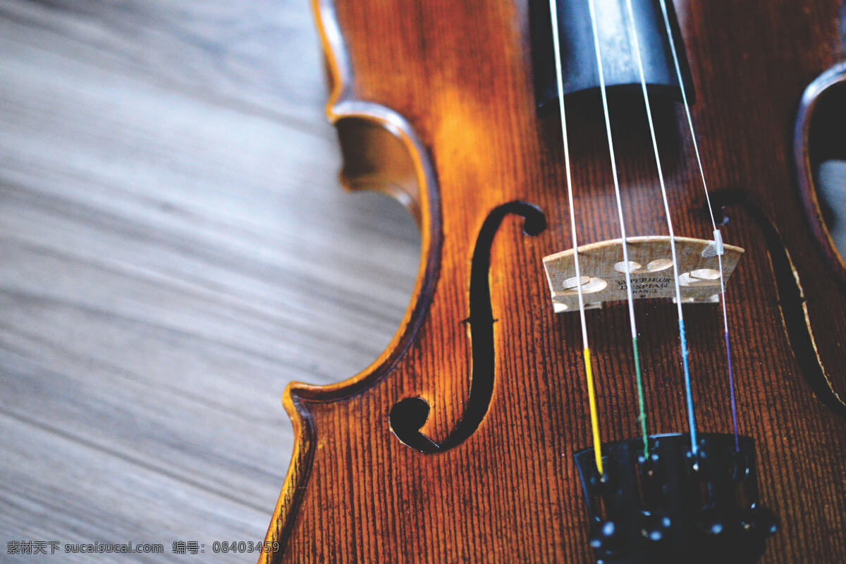 小提琴 乐器 弦乐器 演奏乐器 乐队 音乐 西洋乐器 生活百科