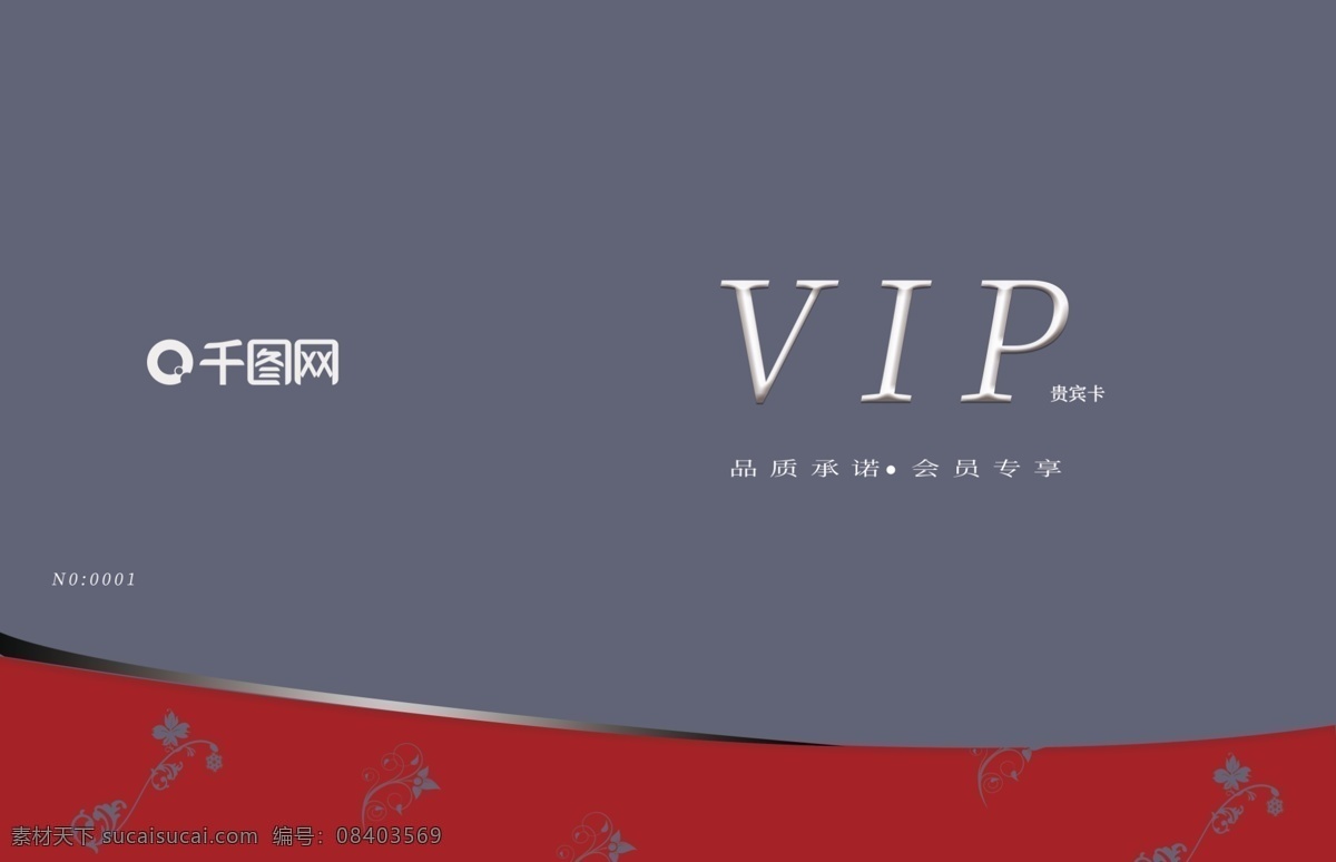 原创 vip 卡片 时尚 简约 贵宾