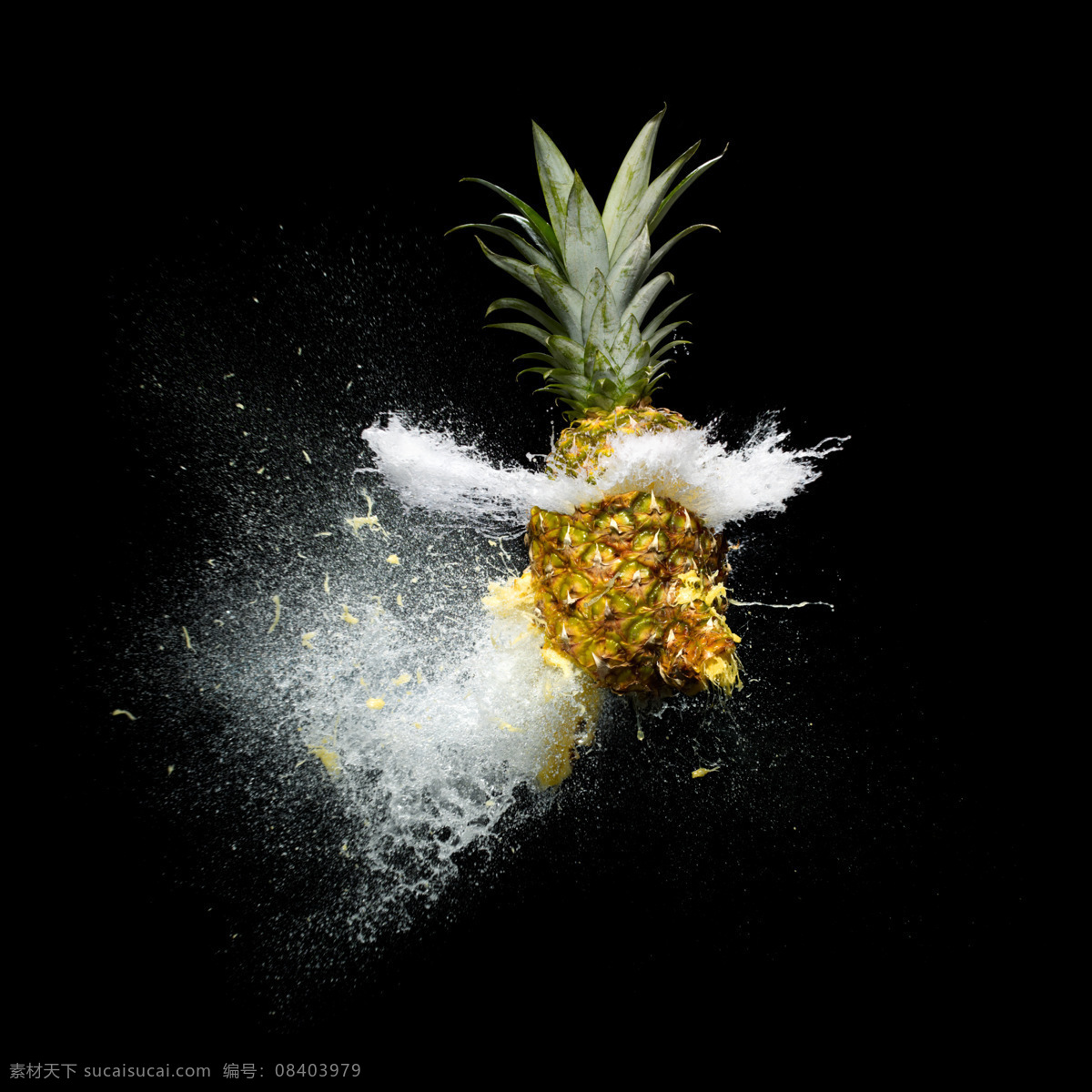 菠萝 水果 水花 生物世界