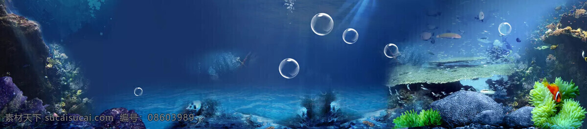 蓝色 海底 世界 banner 背景 珊瑚 海底世界 水泡