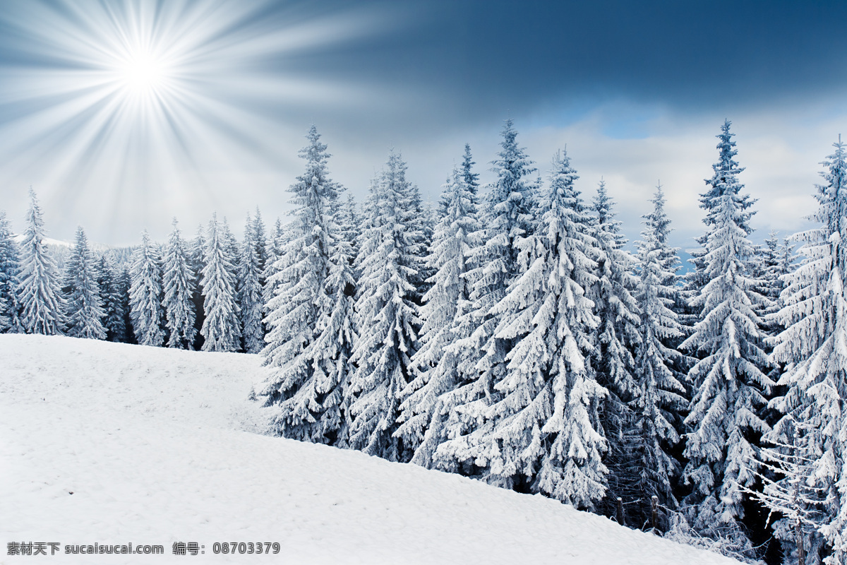 天空 蓝天 白云 生态环境 自然风景 自然景观 雪景 冬日雪景 雪山风景 阳光 积雪 冬日树林 白色
