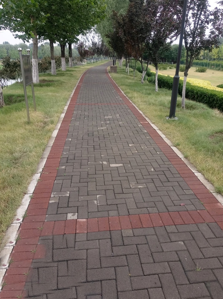 公园小路 夏季 绿色 公园 树木 草坪 草地 树干 雨后小路 安静 人工 路面 生活百科 娱乐休闲