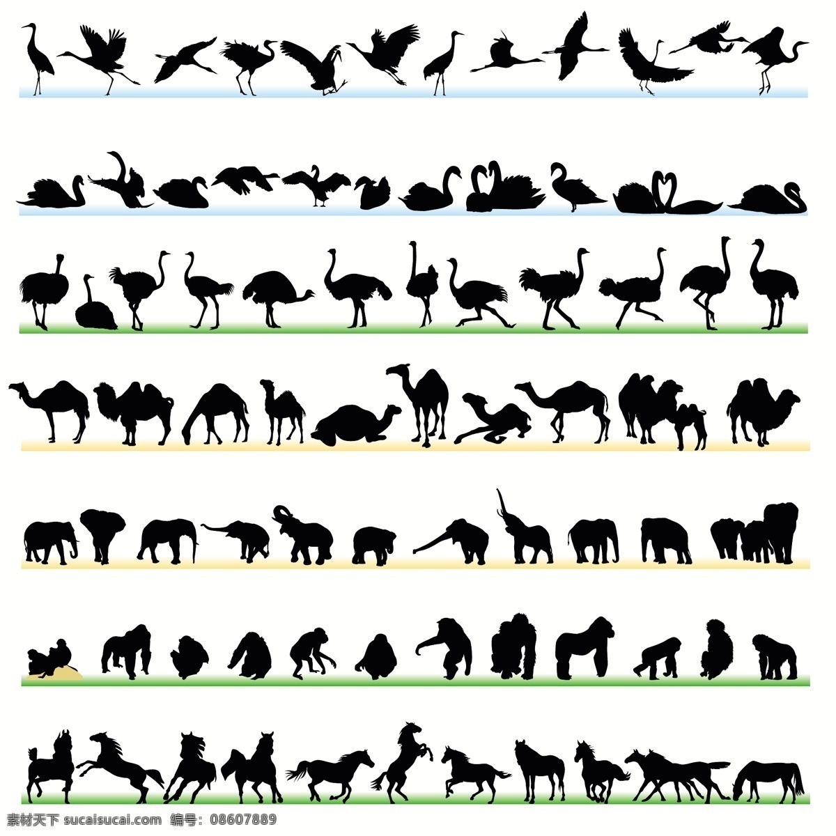 各种动物剪影 各种 动物 剪影 家禽 野兽 形状 图标 矢量素材 其他矢量 矢量