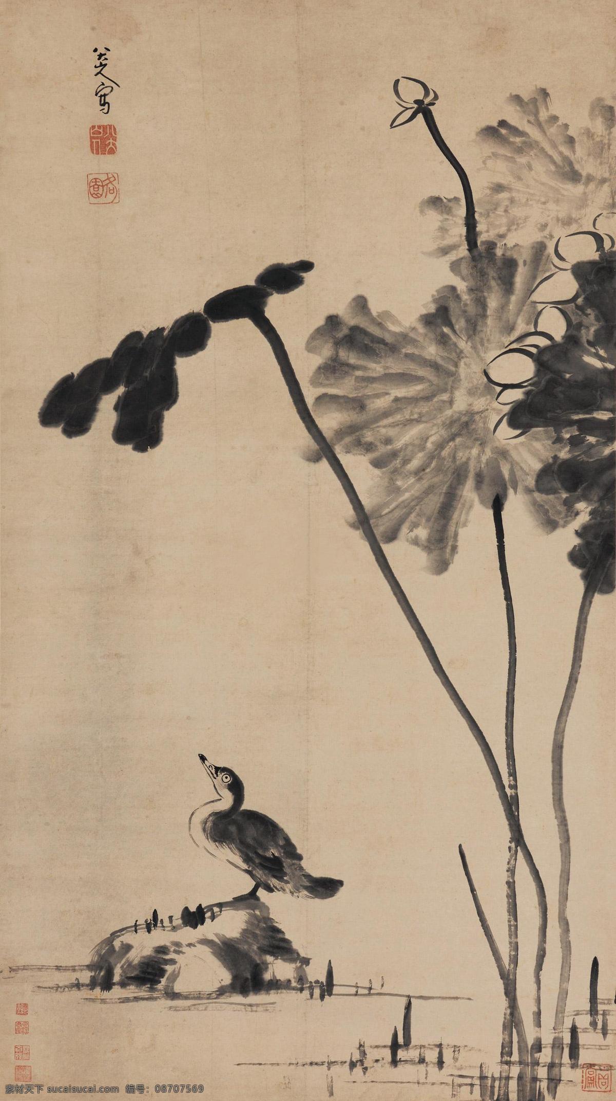 荷花水禽 古代绘画 花鸟 写意画 八大山人 水墨画 清代四僧 文化艺术 绘画书法