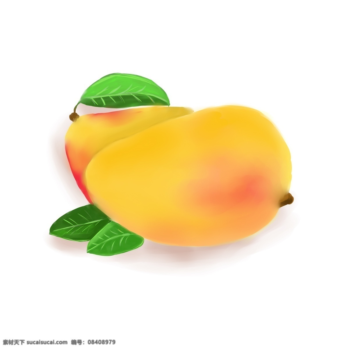 芒果 手绘 两个 水果 两个芒果 夏季水果