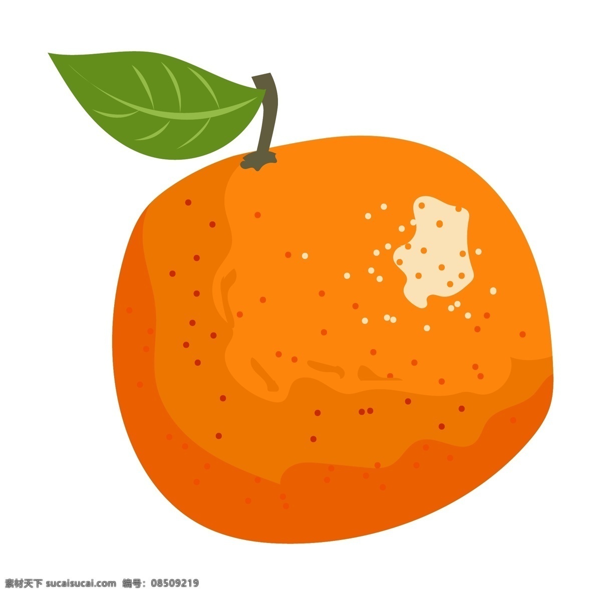 手绘 水果 橘子 插画 绿叶 叶子 植物 手绘水果 手绘橘子 橘子插画 水果橘子插画 橘子插图