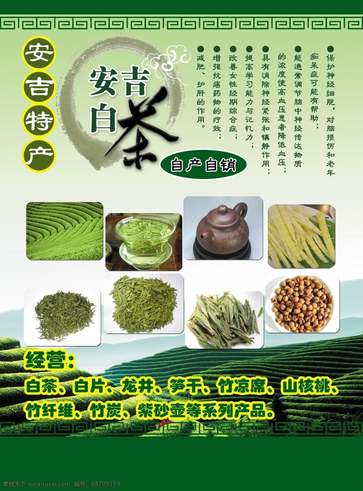 安吉白茶 矢量茶叶 蓝天 白云 茶园