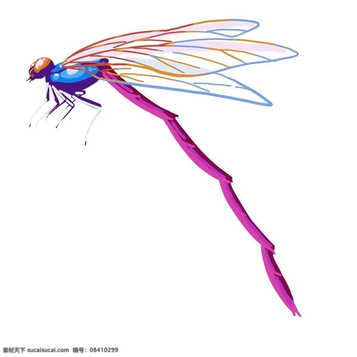 彩色蜻蜓飞翔 野外 虫子 昆虫