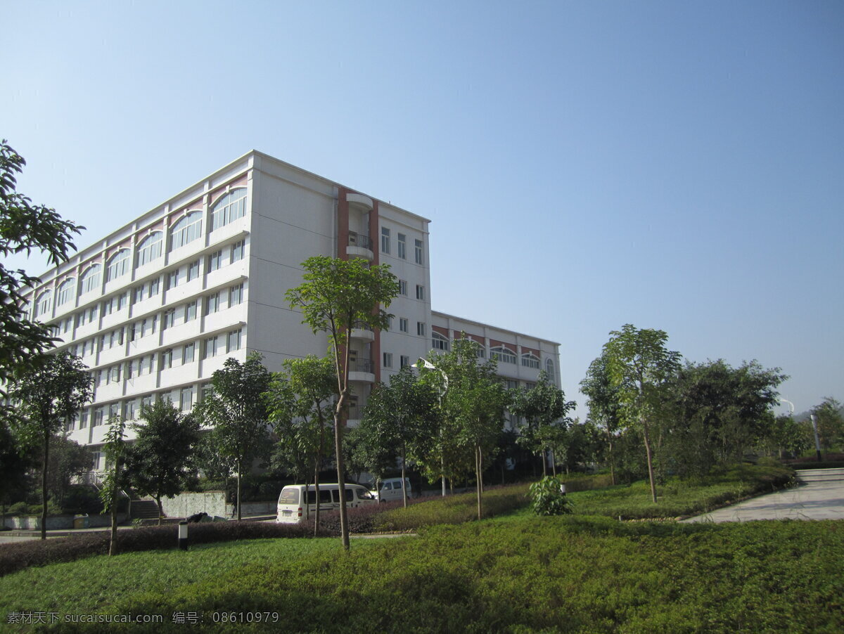 重庆 南方 翻译 学院 川外 重庆大学校园 校园风景 大学校园 艺术楼 教学楼 树 摄影图片 学校摄影 建筑摄影 建筑园林 黑色