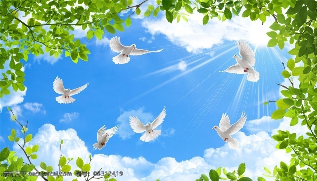 花鸟画 蓝天 阳光 背景墙图片 白云 鸽子 玄关图 吊顶 分层