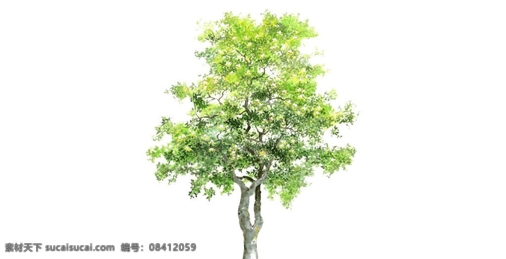 梨树 桃花 杏花树 苹果树 榕树 热带树 杨树 柿子树 果树 棕树 热带植物 木瓜树 椰子树 槐树 桑树 树叶 树枝 柳树 柏树 景观树 盆景 树林 skp 植物 树 树木 sketchup 草图 大师 文件 植物模型 其他模型 3d设计模型 源文件