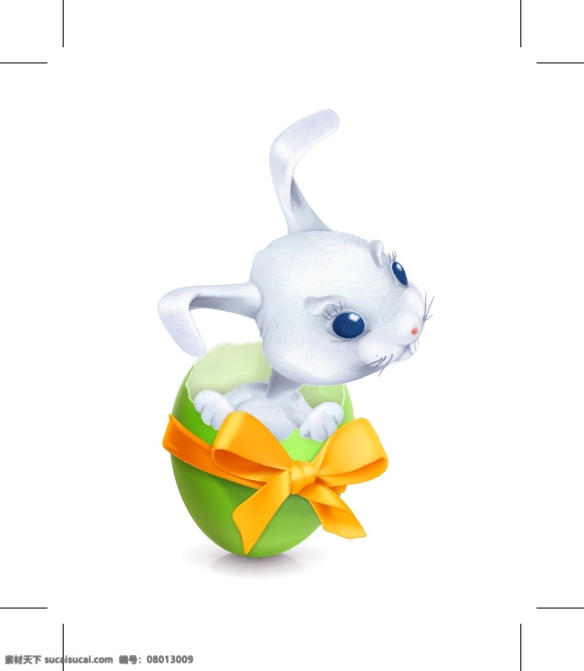彩 蛋壳 里 兔子 彩蛋壳 可爱 动物 白色