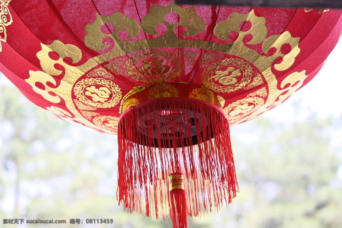 灯笼免费下载 灯笼 吊灯 宫灯 红色 花鸟 节日庆祝 龙凤 灯彩 元宵节 团圆 喜庆 纱灯 鱼虫 文化艺术 装饰素材 灯饰素材