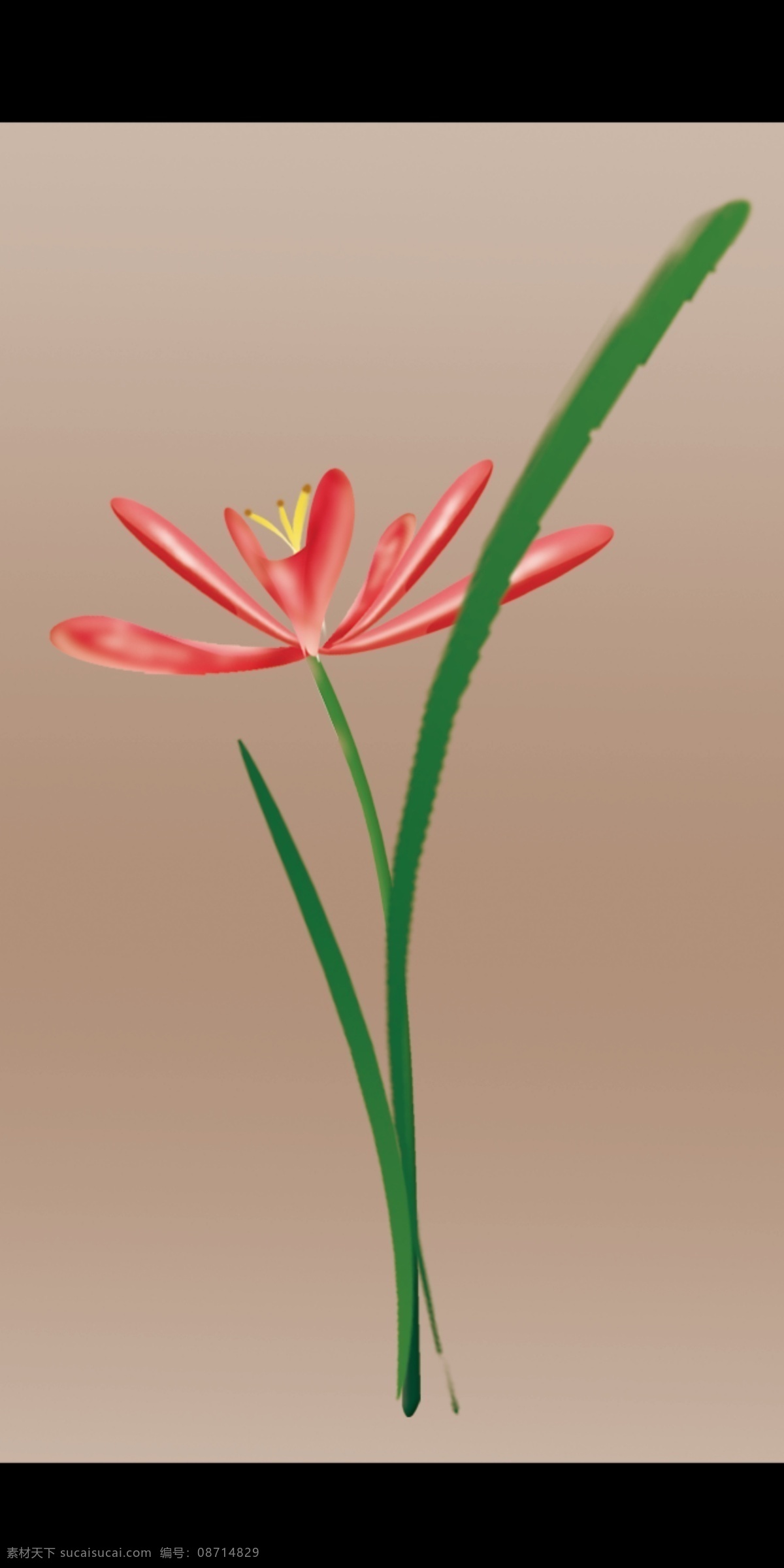 兰花 广告设计模板 画册设计 源文件 ps制作兰花 其他画册封面