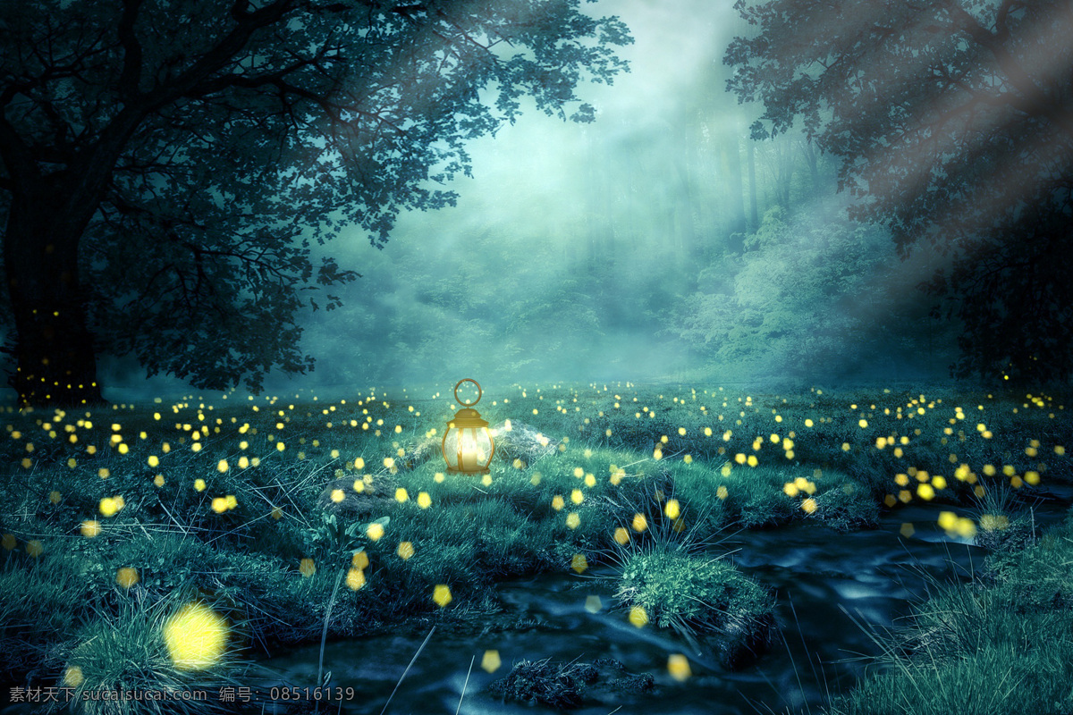 梦幻森林 夜景 萤火虫 森林 唯美 夜空 图片类