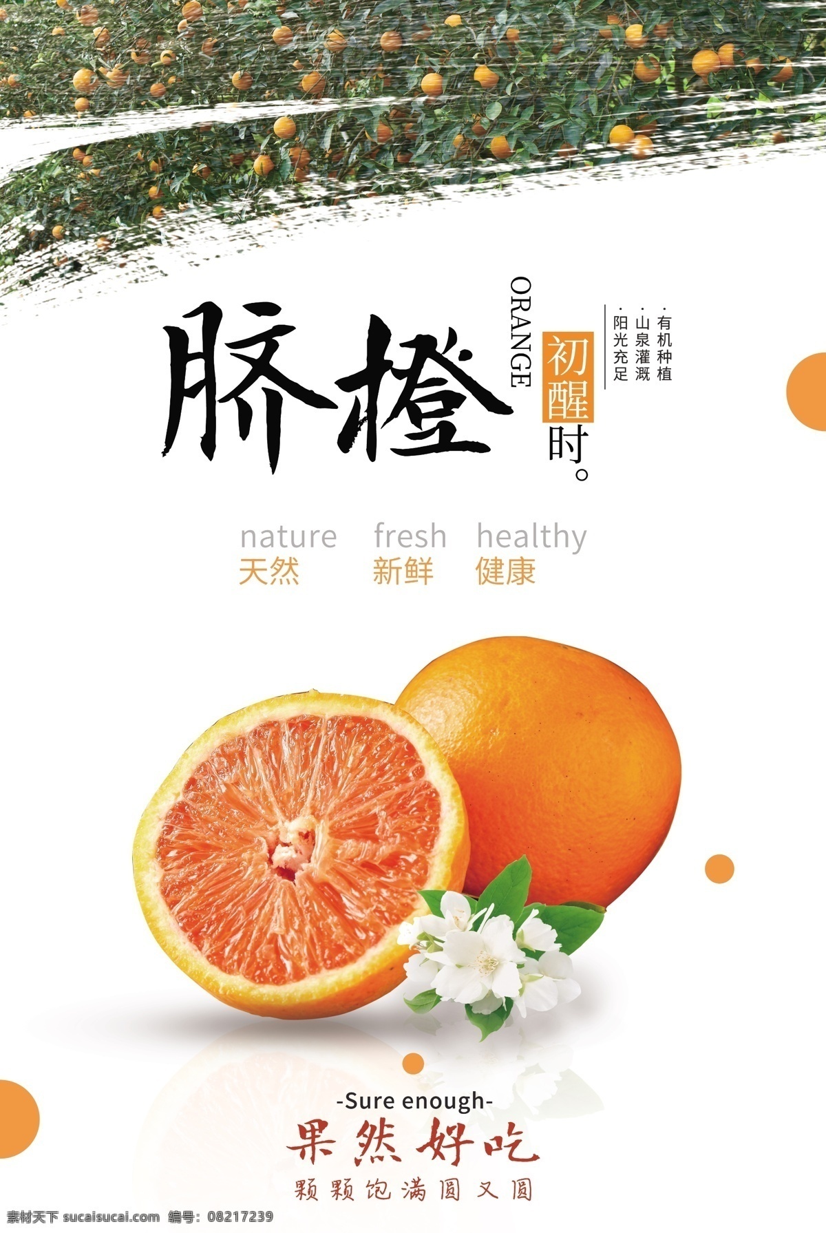 赣南脐橙 赣州脐橙 赣南橙子 橙子 橙子海报 橙子展架 脐橙广告 脐橙包装 水果海报 水果展架 脐橙采摘 脐橙展架 新鲜橙子 橙子包装 橙子广告 橙子种植 水果 橘子展板 水果展板 水果店海报 水果店展架 水果超市 超市海报 水果广告