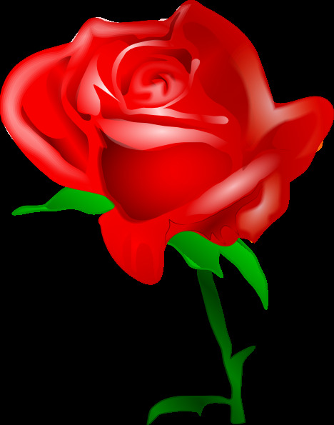红玫瑰 剪辑 艺术 红色 玫瑰 红色的玫瑰 玫瑰的剪辑 花红 剪贴 画 矢量红玫瑰卡 贺卡 红玫瑰夹 夹在红玫瑰 朵 夹 夹有心脏 边境 矢量图 花纹花边