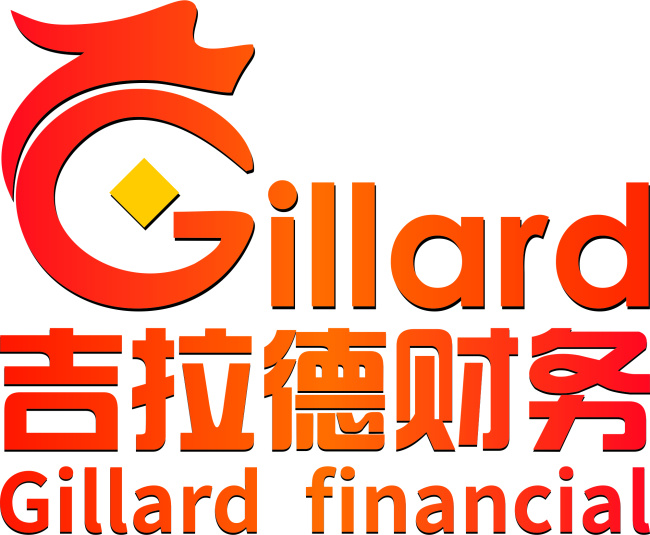 财务logo 财务 logo 创意logo 创意 吉拉德 gillard