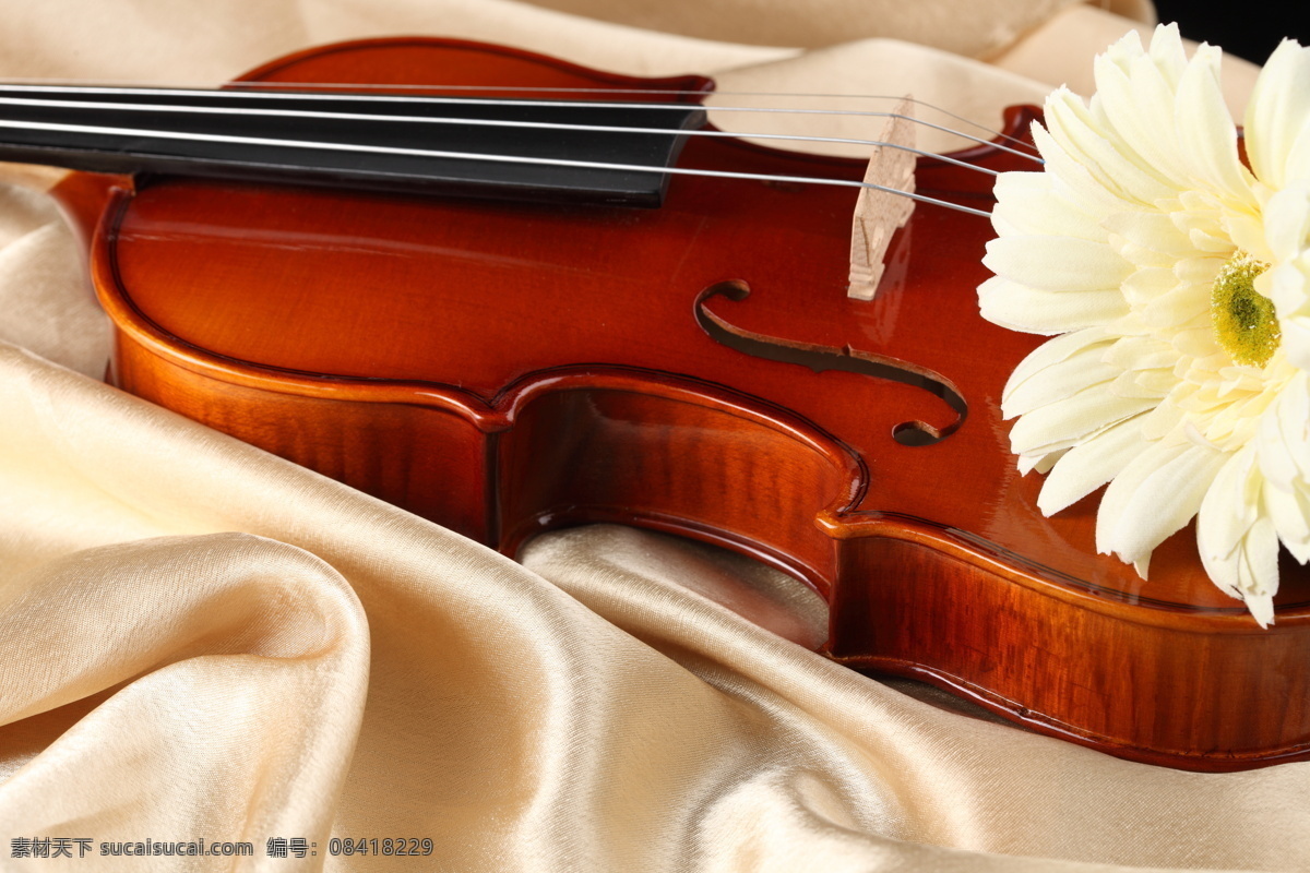 小提琴 花朵 特写 音乐艺术 音乐 乐器 弦乐器 鲜花 丝绸 摄影图片 高清图片 影音娱乐 生活百科