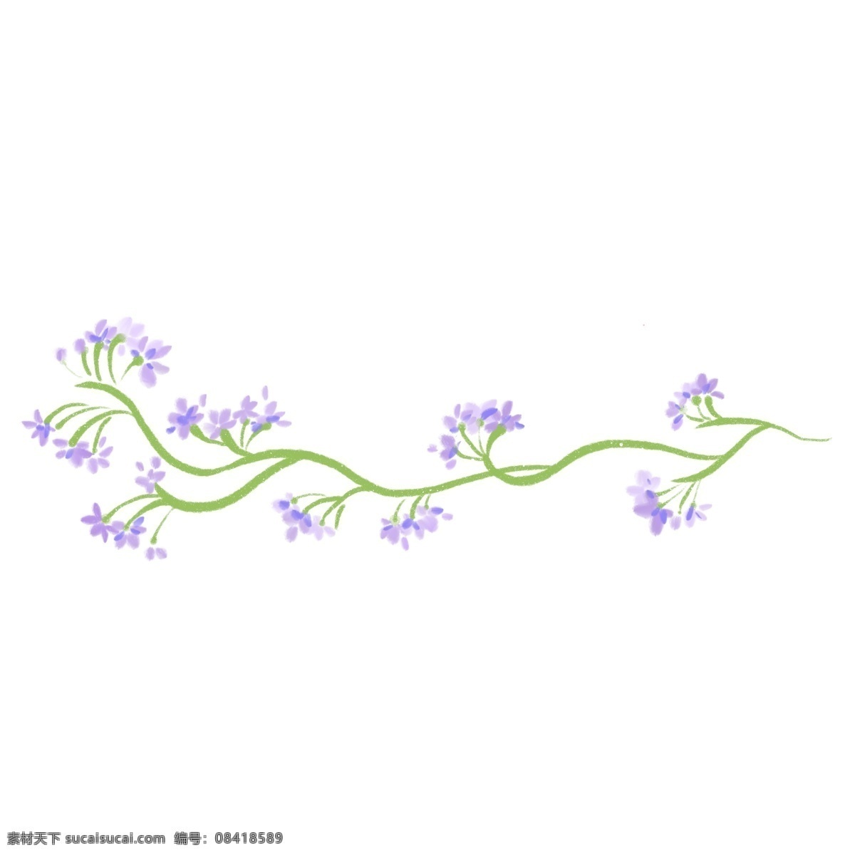 紫色 藤条 花 藤 插画 紫色的花朵 卡通插画 花藤插画 藤蔓插画 绿叶插画 花朵插画 长长的藤条