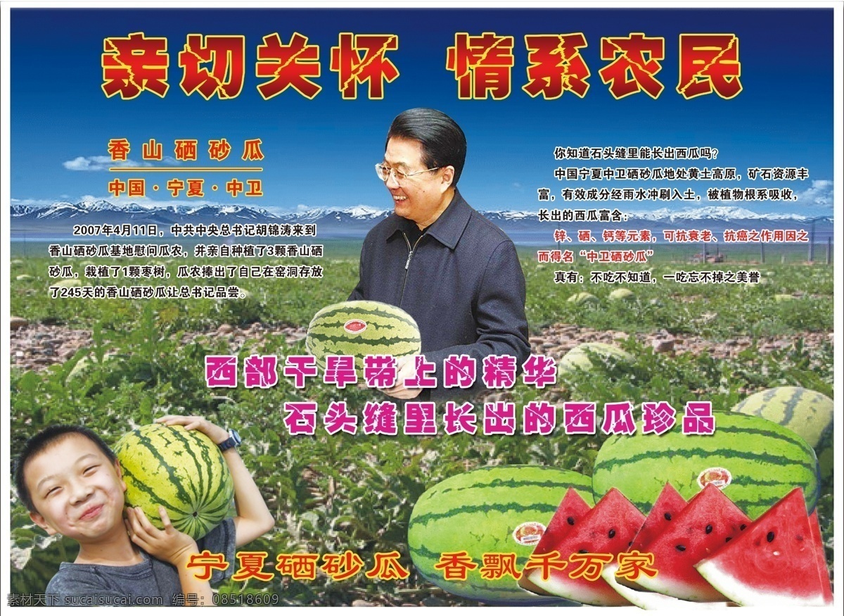宁夏 硒 砂 瓜 包装 海报 硒砂瓜 西瓜 中卫 包装设计