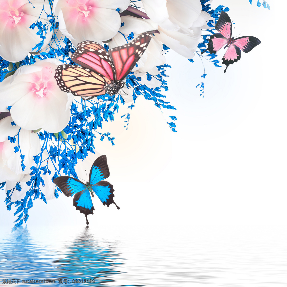 美丽 画面 花朵 蝴蝶 春天 背景 春季 鲜花 娇艳 水面 花草树木 生物世界