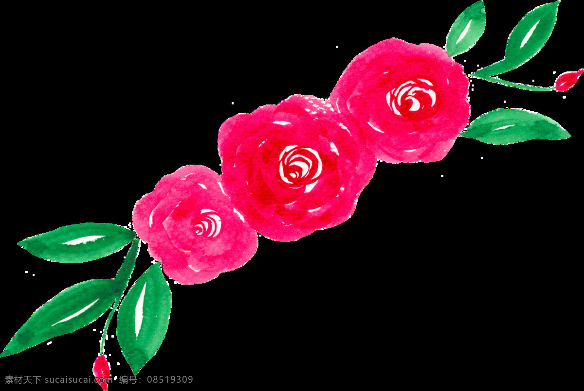 水彩 鲜花 透明 合集 免 扣 插画 粉色 红色 花瓣 花朵 黄色 卡通 绿色 绿叶 手账素材