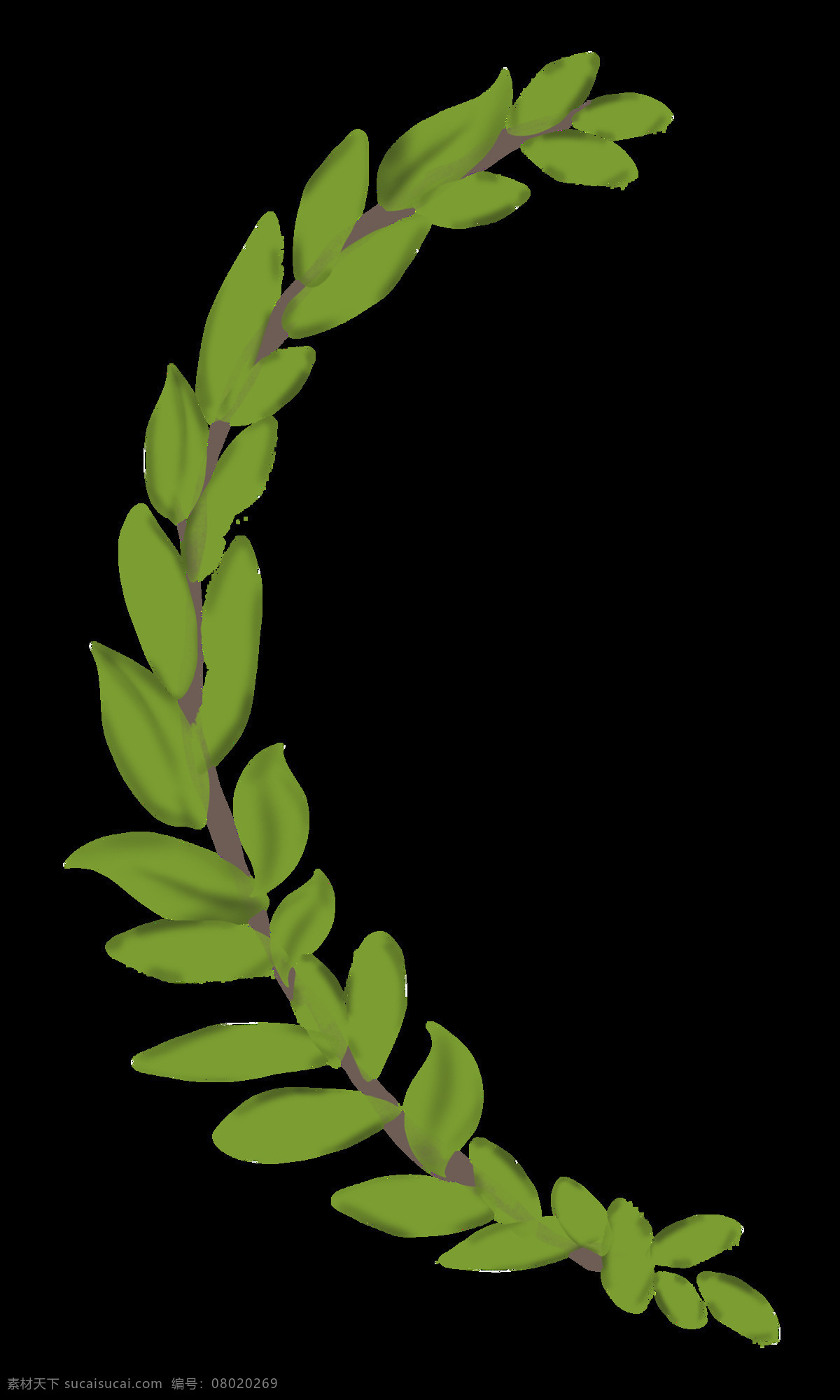左边 枝叶 卡通 透明 植物 绿色 透明素材 免扣素材 装饰图案