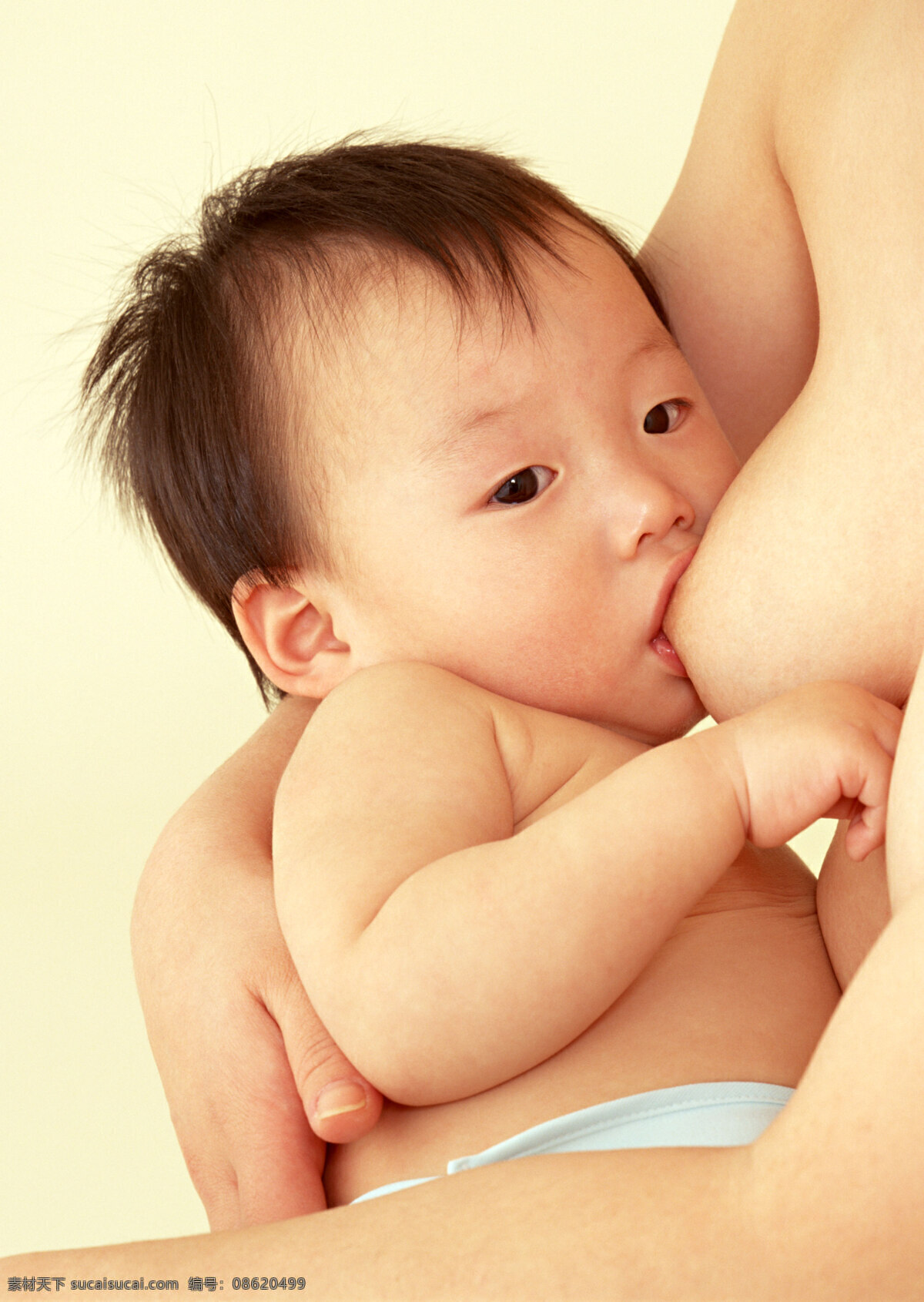 婴幼儿 可爱 儿童 人物 幼儿 孩子 幼齿 天真 小孩 人物图库 母乳 喝奶 喂奶 吸奶 乳房 儿童幼儿 摄影图库