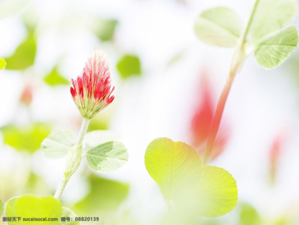 漂亮 背景图片 底板素材 底纹边框 幻彩背景 漂亮背景图片 设计图 桌面背景图片