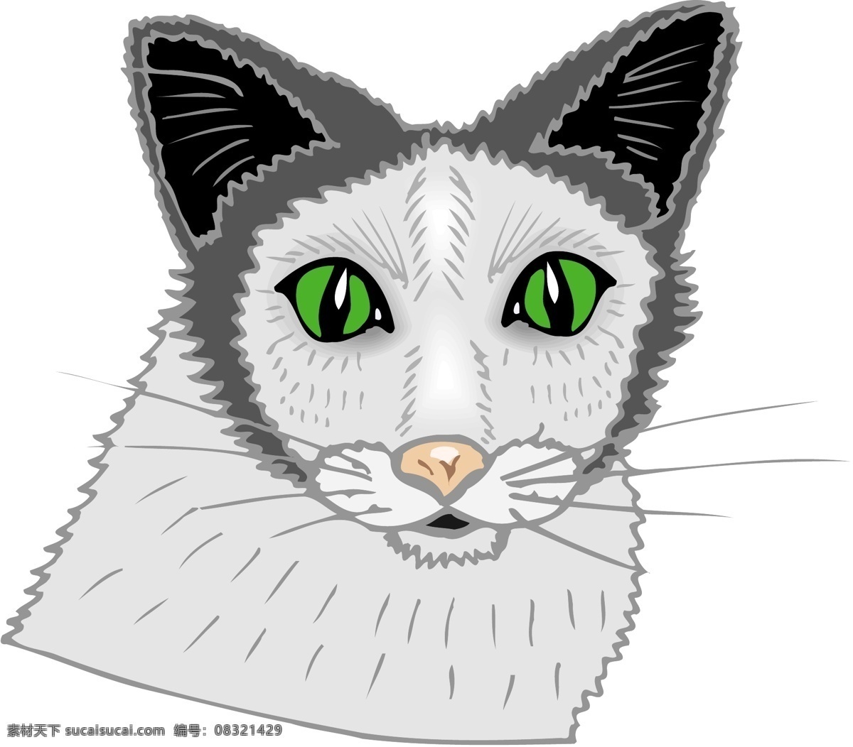 宠物猫 矢量素材 格式 eps格式 设计素材 宠物世界 矢量动物 矢量图库 白色