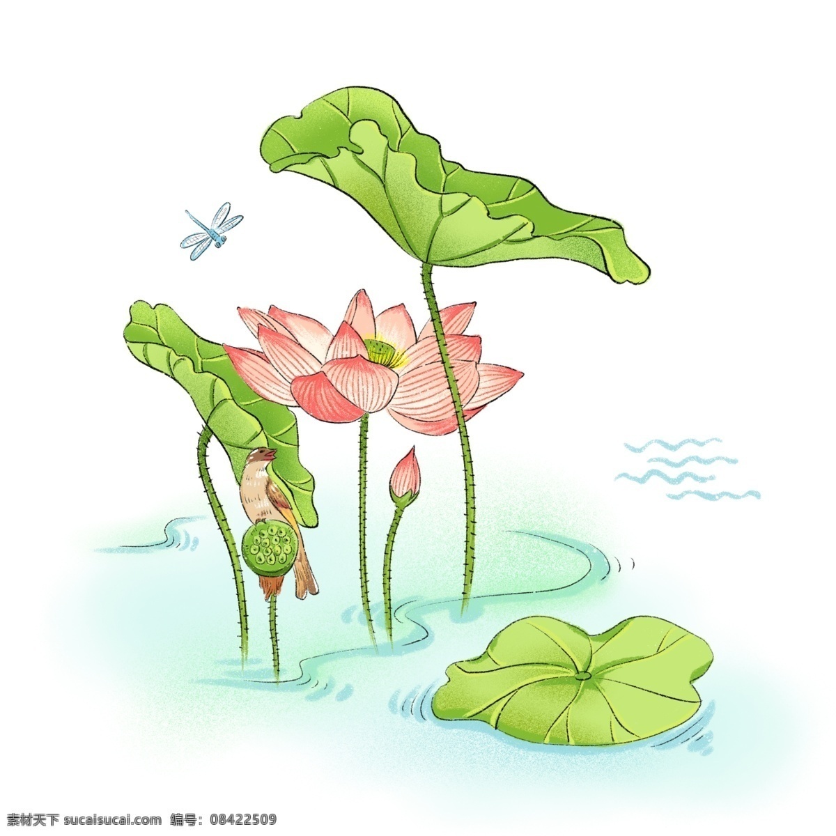 荷花 荷叶 夏季 清新 花苞 夏日 夏天 蜻蜓 鸟 莲藕 噪点画风 粉色 清凉 插画 中国风 蓝色水