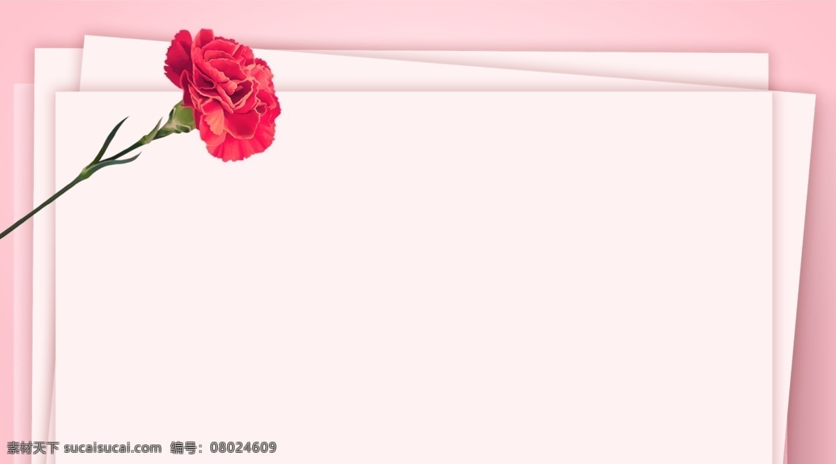 粉色 唯美 爱 情人节 背景 花朵 花瓣背景 白色 约 惠 520