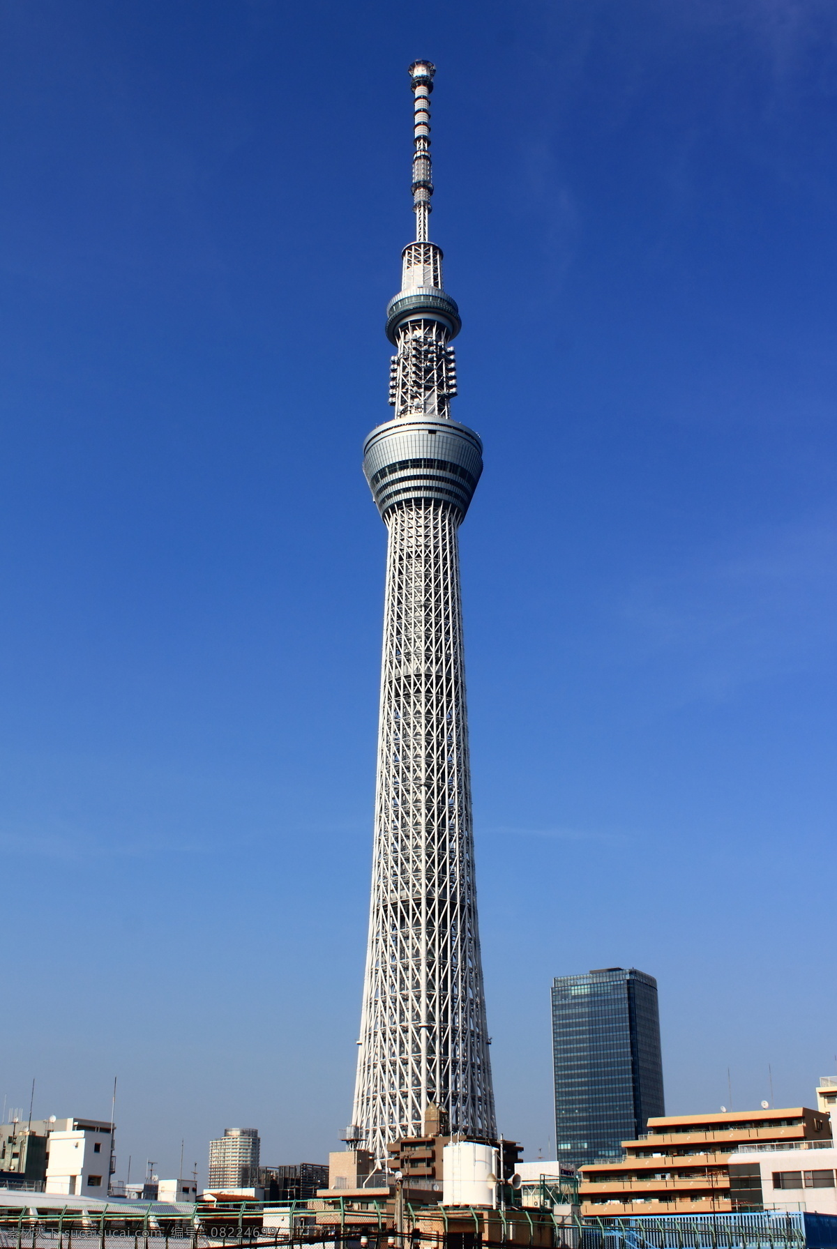 东京晴空塔 城市 高楼 大厦 建筑群 天际线 旅游 人文 日本城市 自然景观 建筑景观