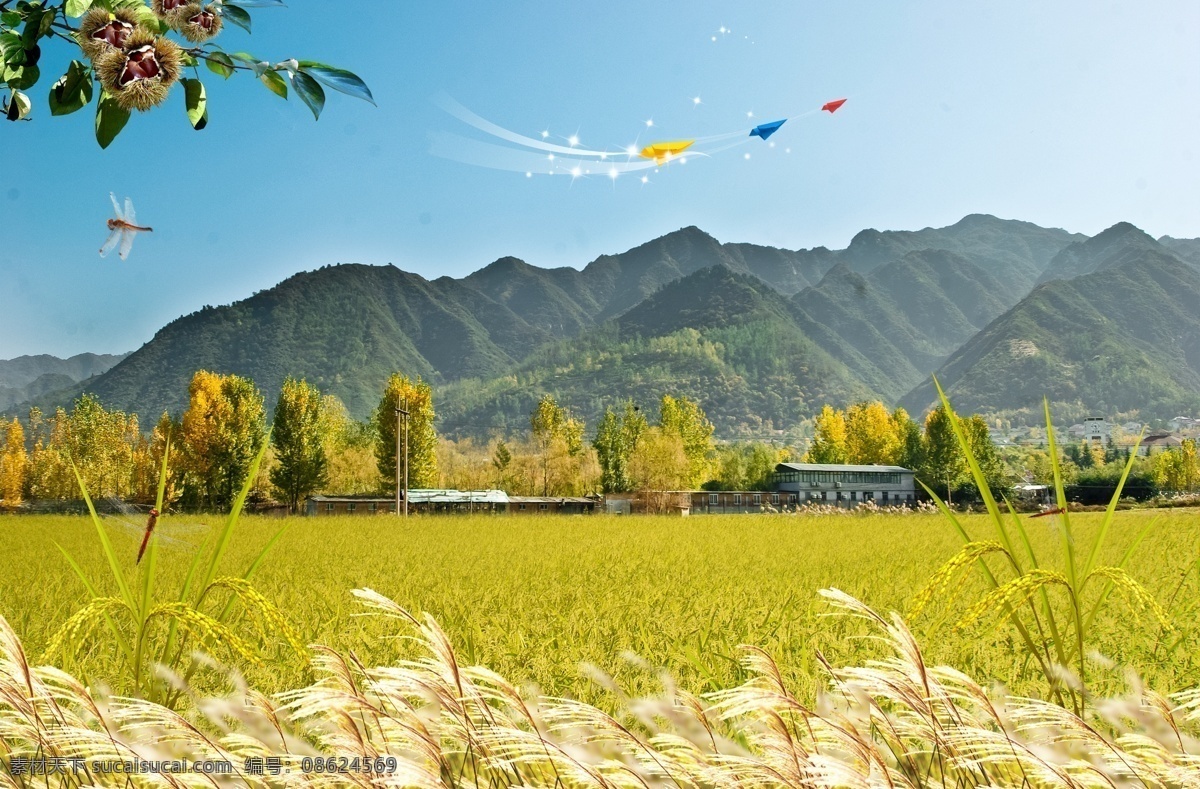 新农村 自然风景 蓝天 白云 田野 田园 村庄 农村 房子 房屋 山 风景 自然 草地 树木 树林 天空 小麦 稻子 粮食 纸飞机 蜻蜓 农田 宁静 清爽 秋天 环保 种植园 农场 生态基地 空旷 宣传栏 海报 分层 源文件