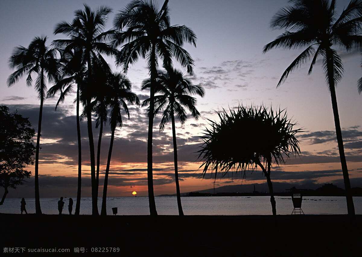 海边 日落 风景 旅游 风景区 夏威夷 夏威夷风光 悠闲 假日 热带树 黄昏 大海图片 风景图片