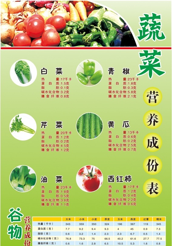 蔬菜 营养 成份 表 蔬菜拼图 蔬菜营养海报 白菜 青椒 芹菜 西红柿 油菜 黄瓜 谷物营养表 蔬菜营养表 矢量