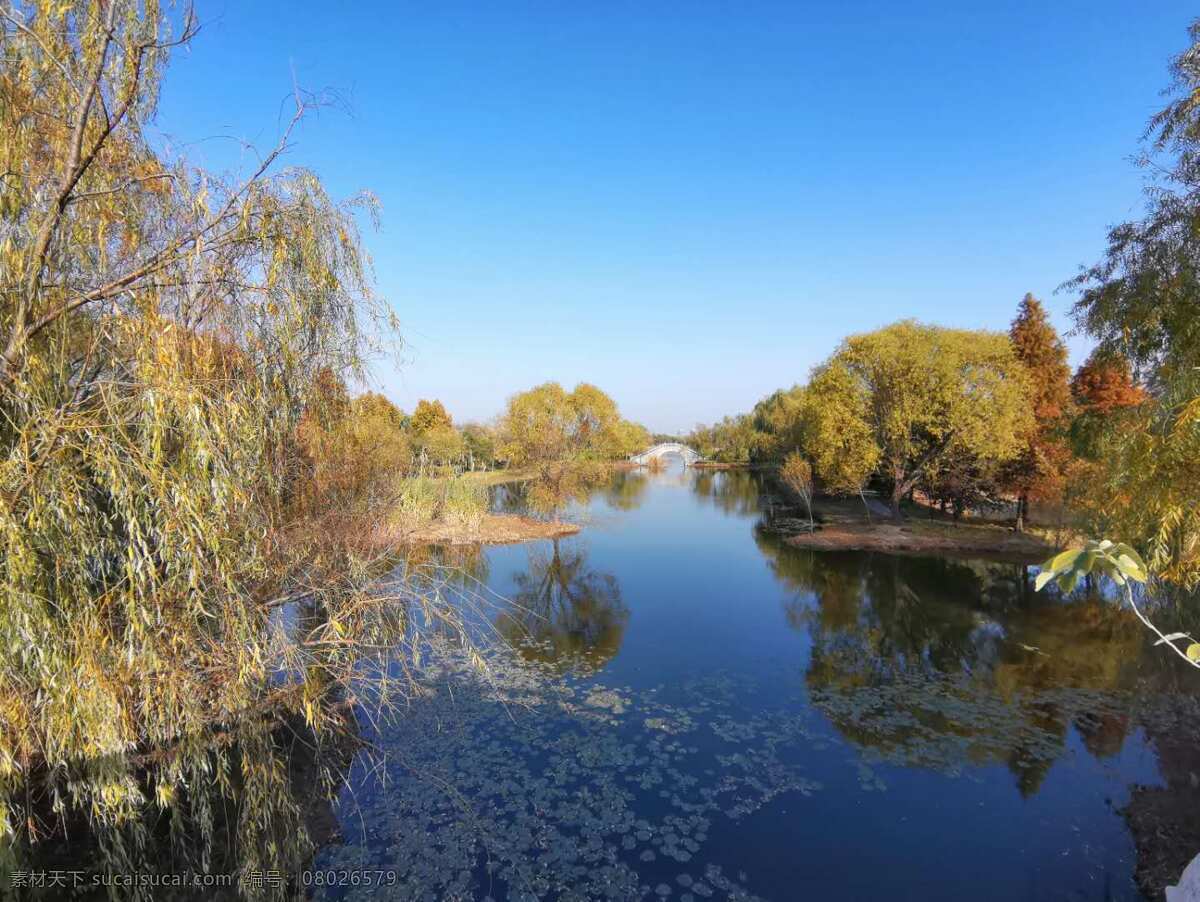 自然风景 公园 水 池塘 石桥 风景画 蓝天 晴天 自然 旅游摄影