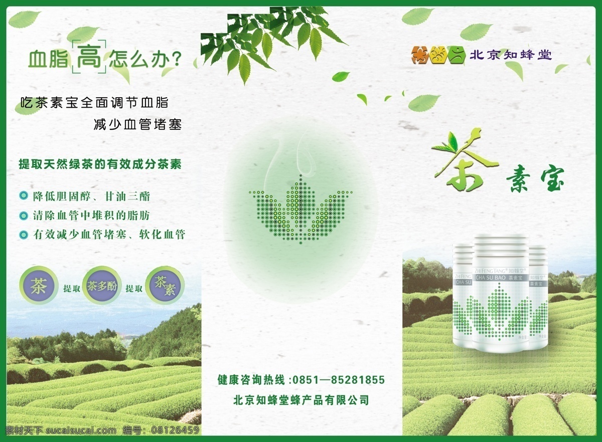 茶素宝折页 茶素宝 知蜂堂 知蜂堂标志 茶素宝三折页 茶素宝介绍 茶素宝宣传单 茶 茶广告 茶宣传单 茶叶宣传单 调节血脂 绿色背景 绿色宣传单 绿色三折页 折页模板 清爽背景 清爽折页模板 清爽折页背景 清爽三折页 dm宣传单