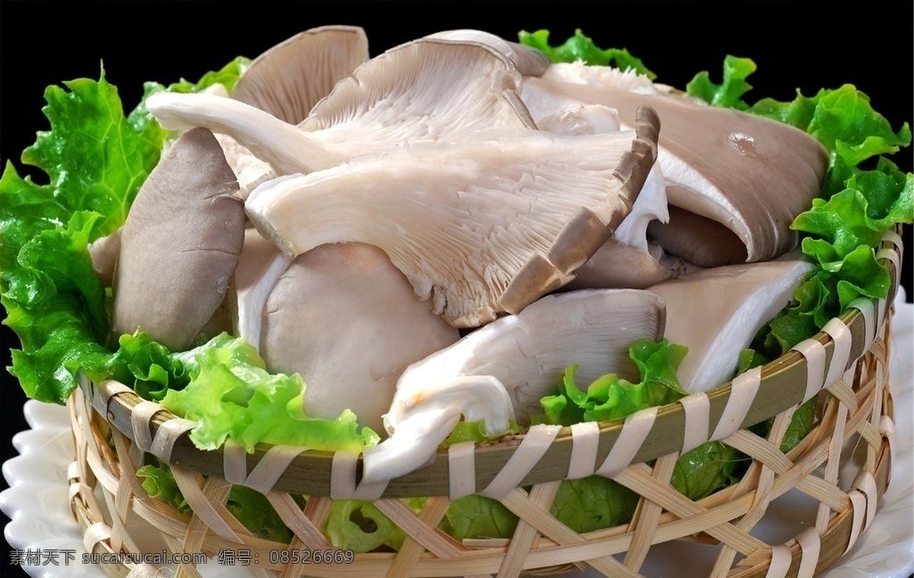 平菇 美食 传统美食 餐饮美食 高清菜谱用图