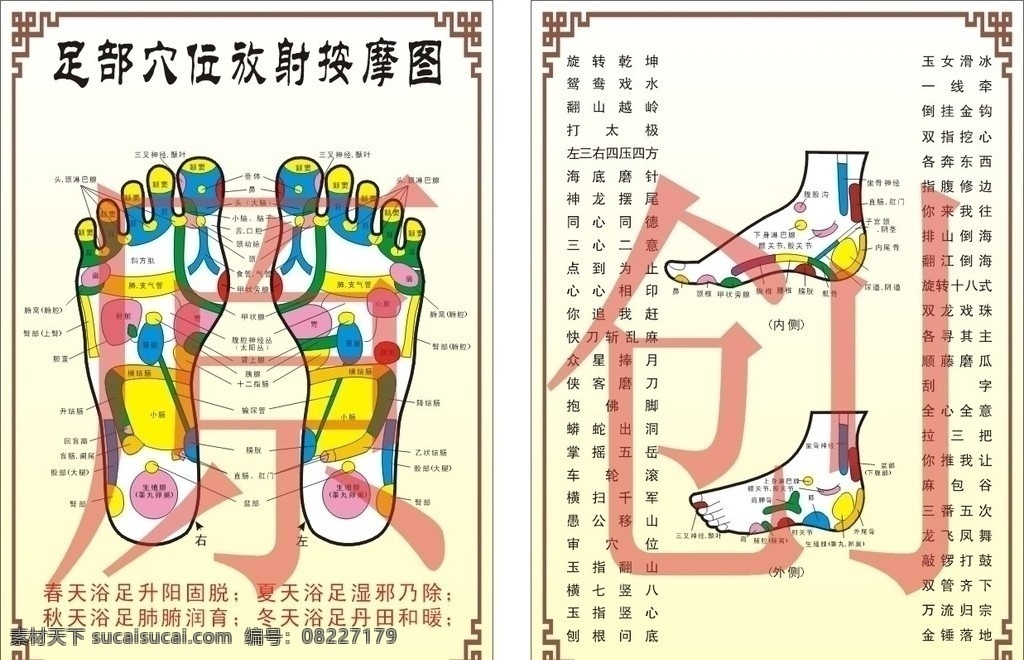 脚部 穴位 反射 图 脚部穴位 脚底穴位 脚底 按摩 脚底按摩 矢量