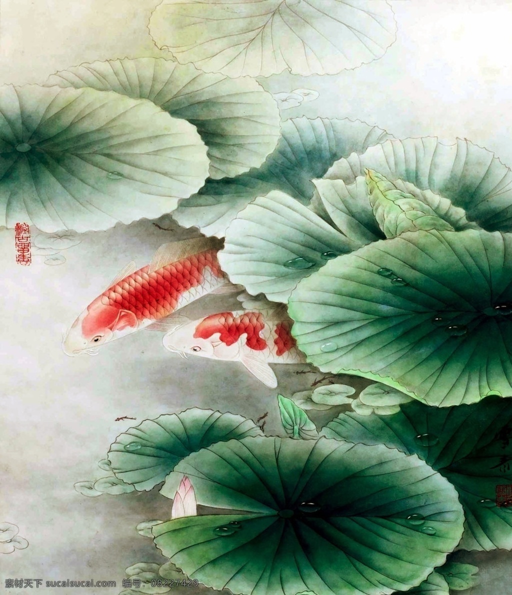 荷花锦鲤 荷叶 锦鲤 国画 鱼虫 工笔 艺术绘画 文化艺术 绘画书法