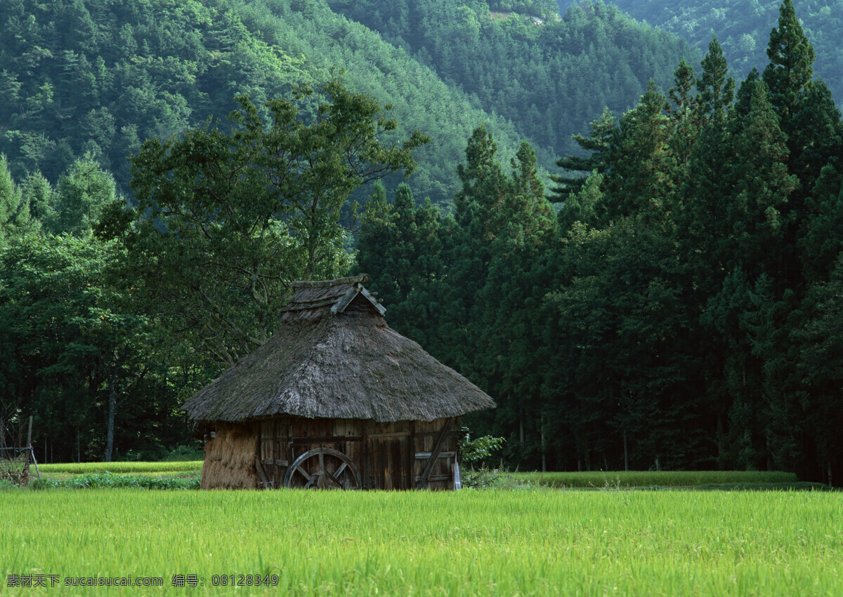 田野 上 小屋 稻田 天空 乡村田园图片 植物 庄稼 田野上的小屋 风景 生活 旅游餐饮