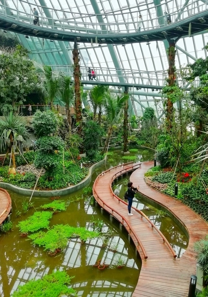 惠州植物园 植物园 植物 惠州 园艺 装饰 环境 景观 景区 旅游 科普 树木 生物世界 园林苗木 建筑园林 室内摄影