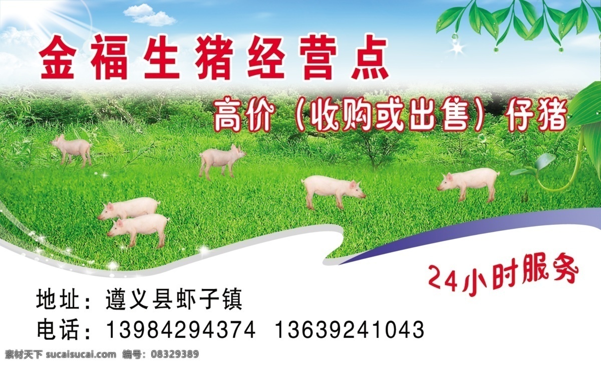 金福 生猪 经营 名片 金福生猪经营 标题 小猪 树叶 草原 树林 地址 电话 太阳 蓝天白云 名片卡片 广告设计模板 源文件