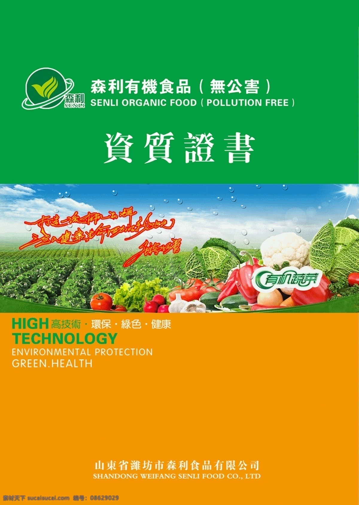 企业免费下载 广告设计模板 画册设计 绿色 企业 食品 蔬菜 宣传册 源文件