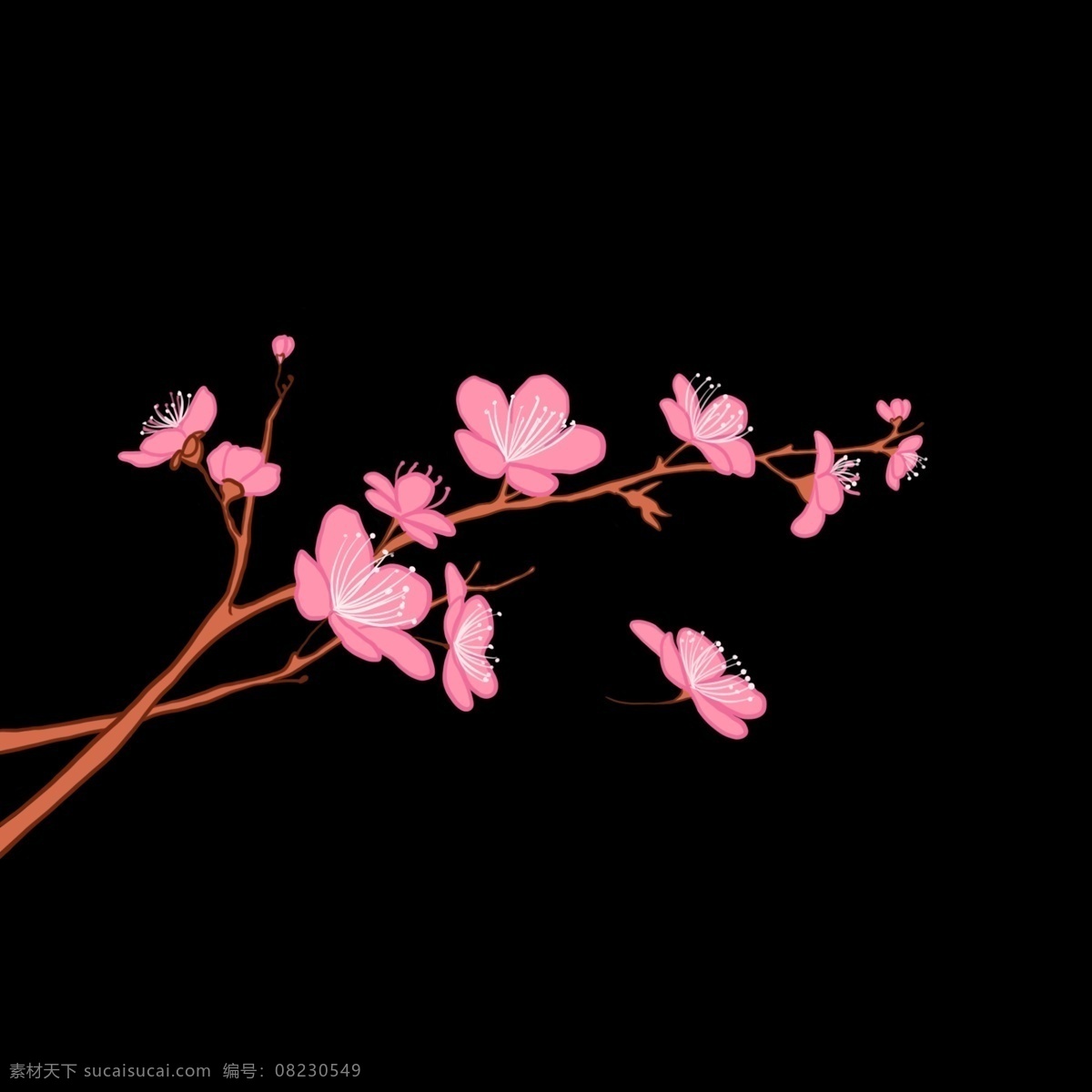 绽放 樱花 卡通 插画 绽放的樱花 卡通插画 植物插画 樱花插画 樱花花朵 装饰樱花 好看的樱花